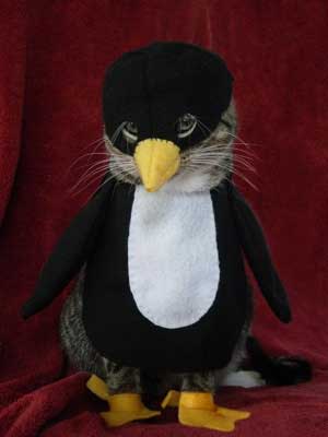 Cat Dressed as a Penguin