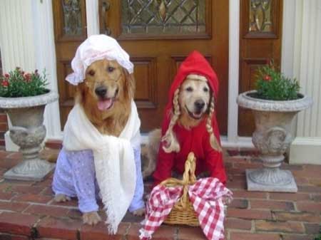 Dogs Dressed As Little Red Riding Hood and the Wolf