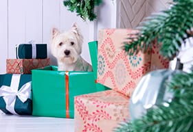 Dog as symbol of New Year Holiday Pet Safety in Altadena: Dog Sitting in Christmas Presents