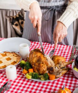 dog-watching-owner-prepare-turkey