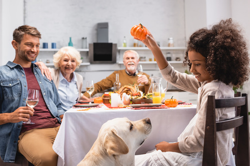 yellow-lab-dog-sitting-next-to-female-owner-near-holiday-dinner